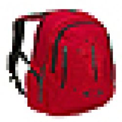 Bags + Packs