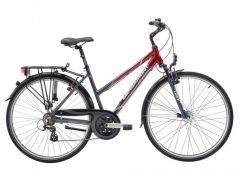 Bergamont Horizon 2.1 Da RH56 2011 
