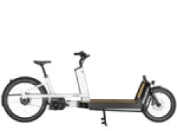 E-Lastenrad