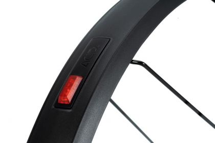 Cube ACID  Rücklicht Pro E 6V 6V E-Bike Rücklicht (6V) black