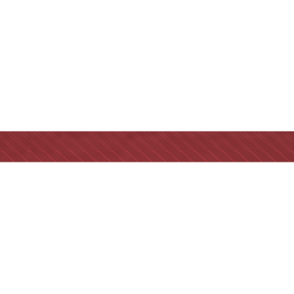 Ergon BT Allroad Merlot Red Bar Tape Dicke / Länge:2,5 mm / 210 mm;Gewicht:140 g
